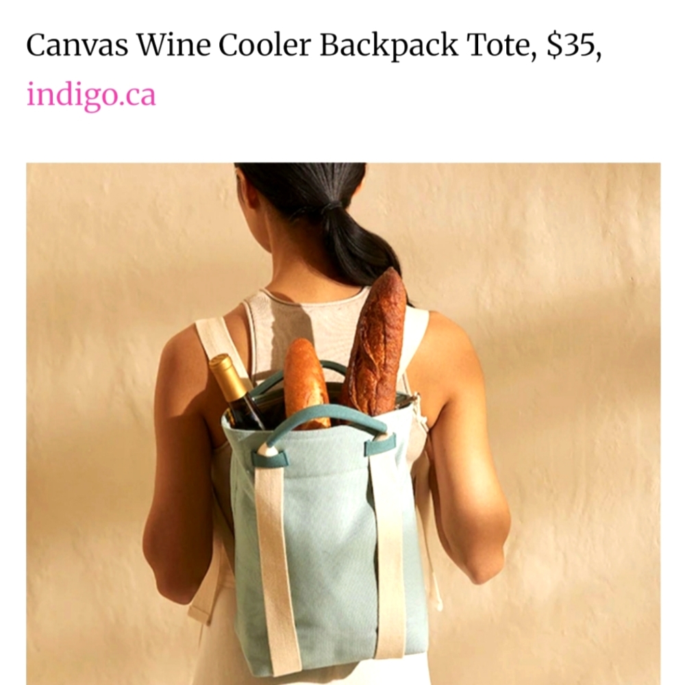 OUI Canvas Wine Cooler Bag - NWOT